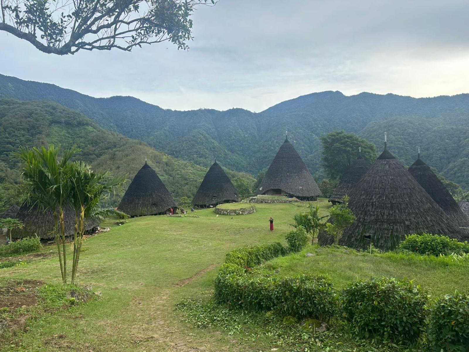 D'Flora Homestay Labuan Bajo Eksteriør bilde