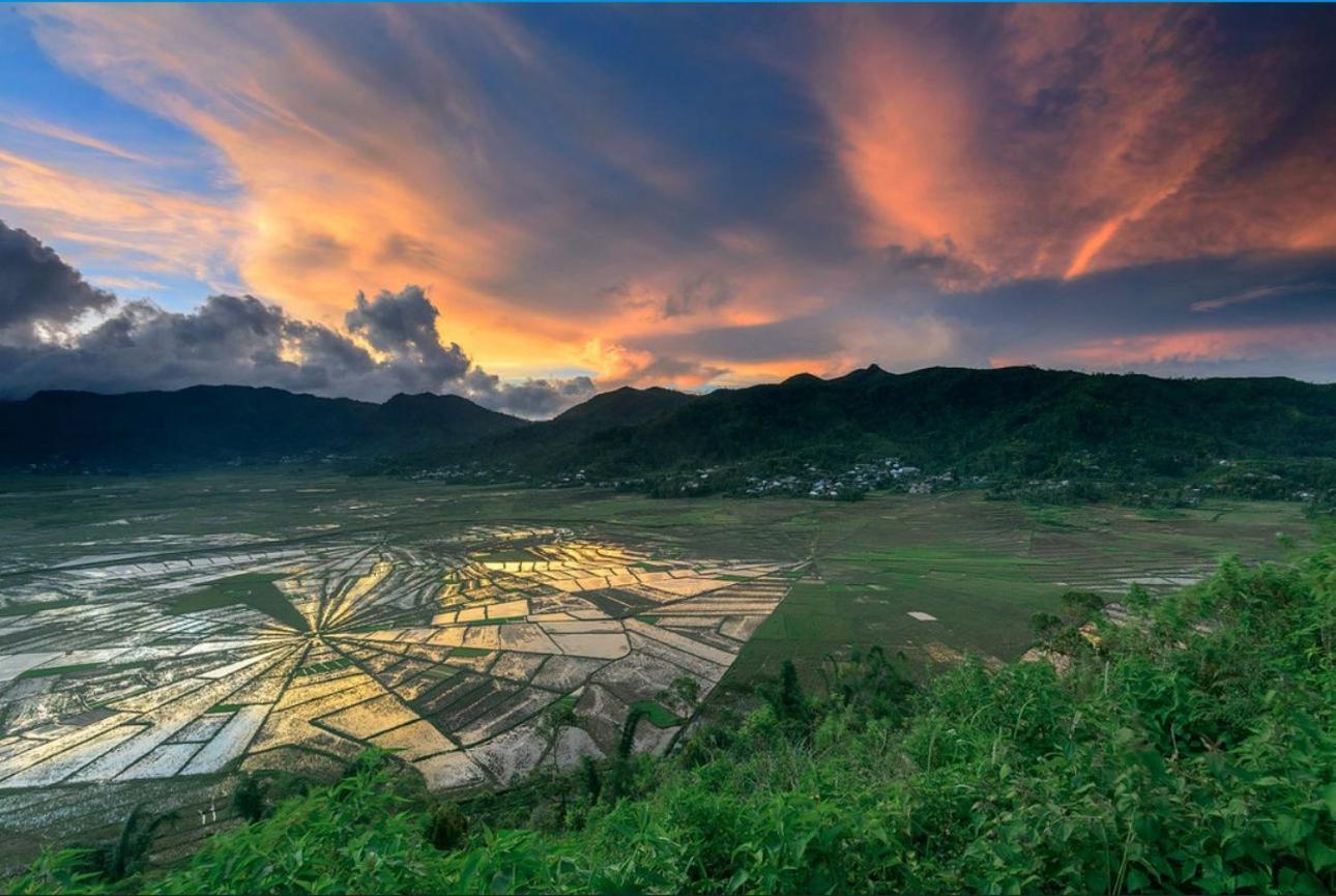 D'Flora Homestay Labuan Bajo Eksteriør bilde