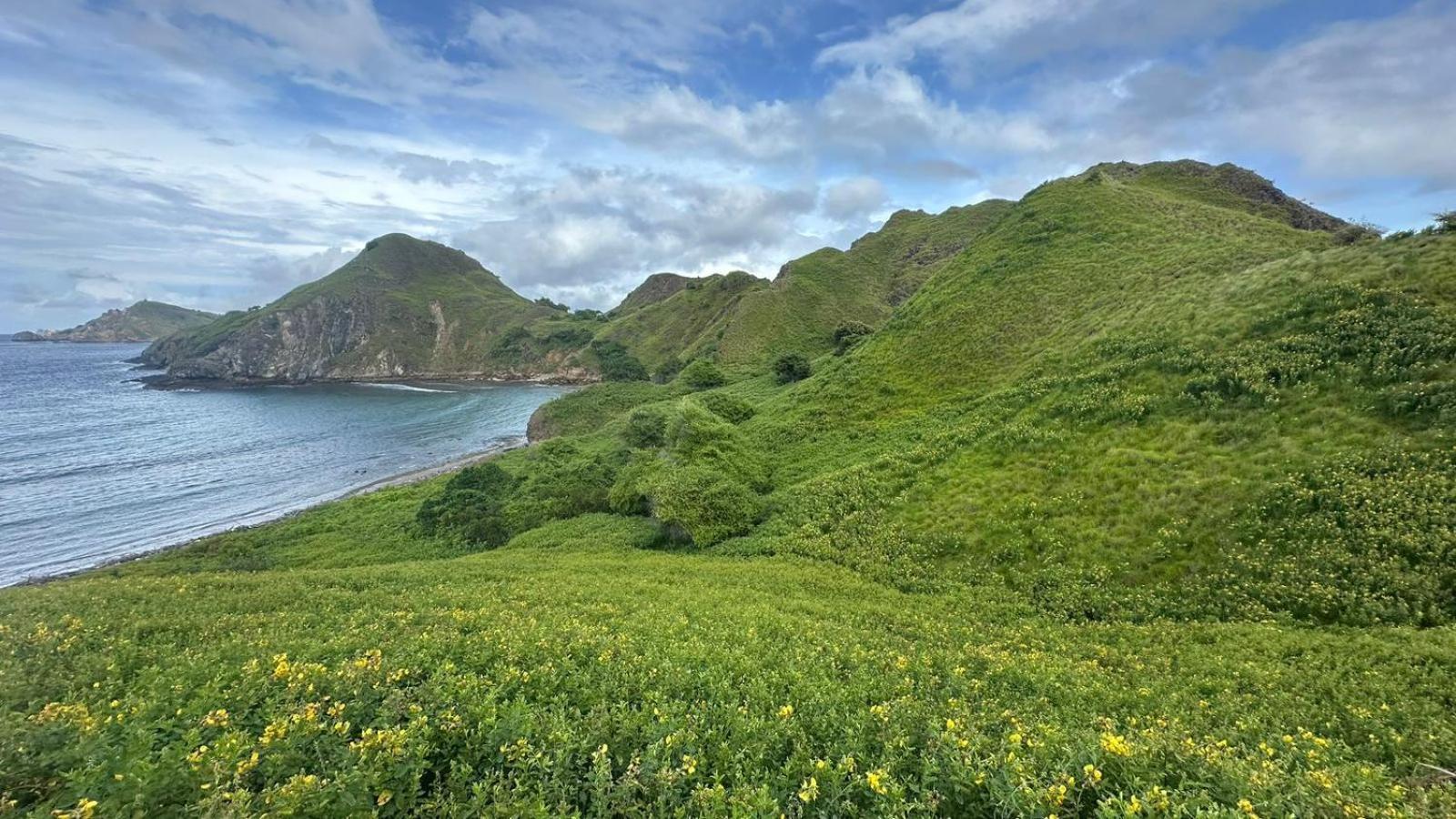 D'Flora Homestay Labuan Bajo Eksteriør bilde
